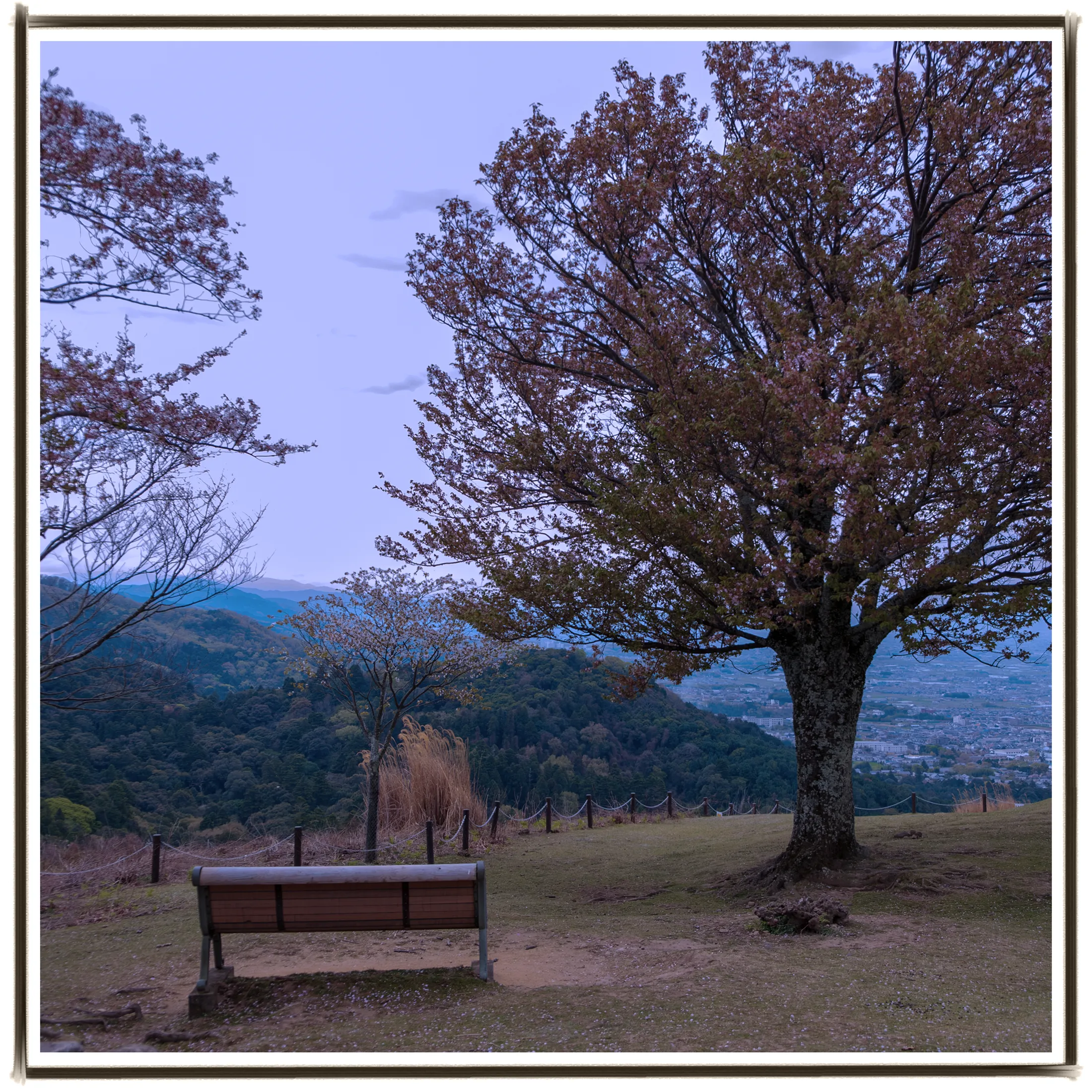 About photo