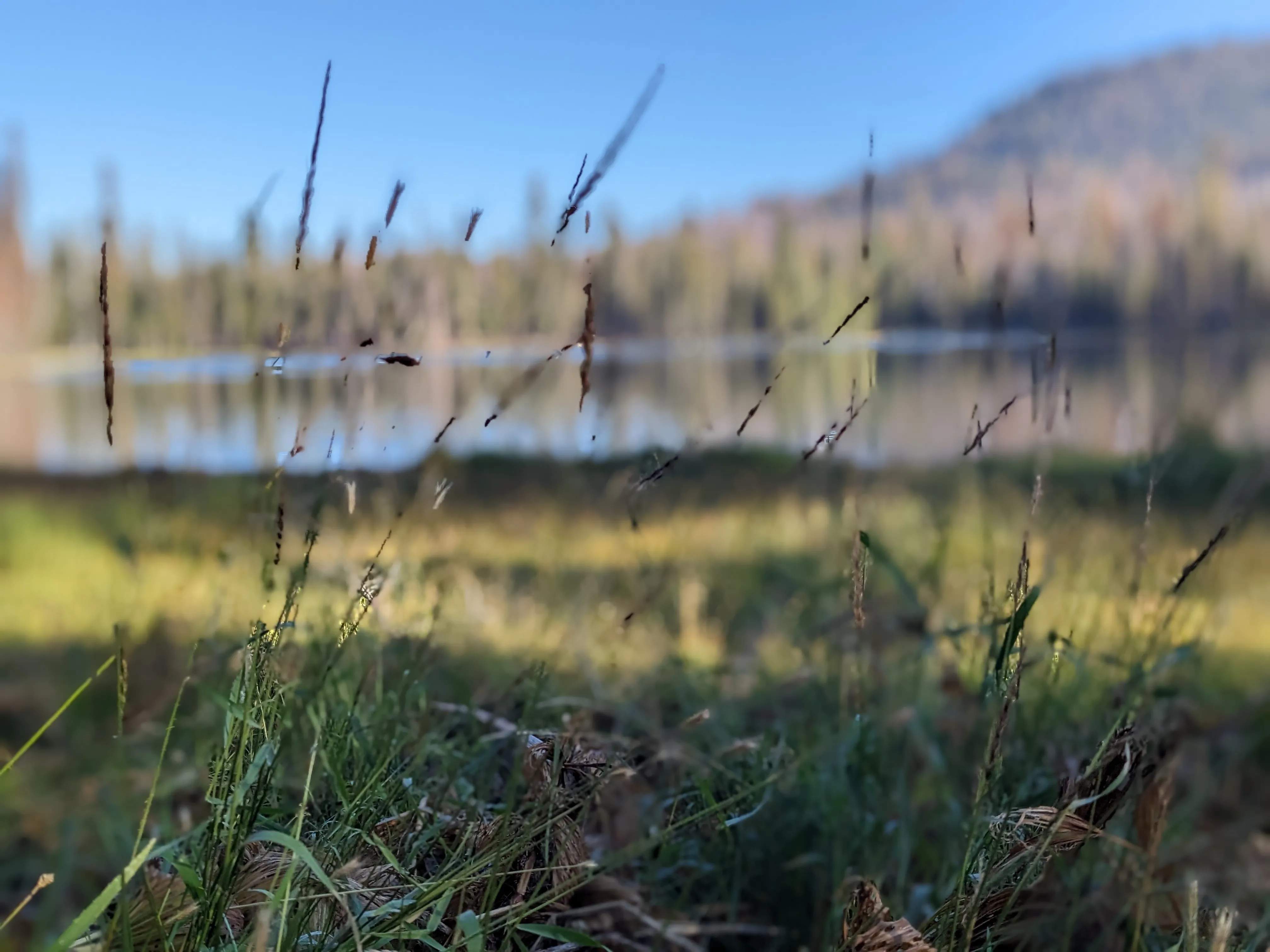 summit lake