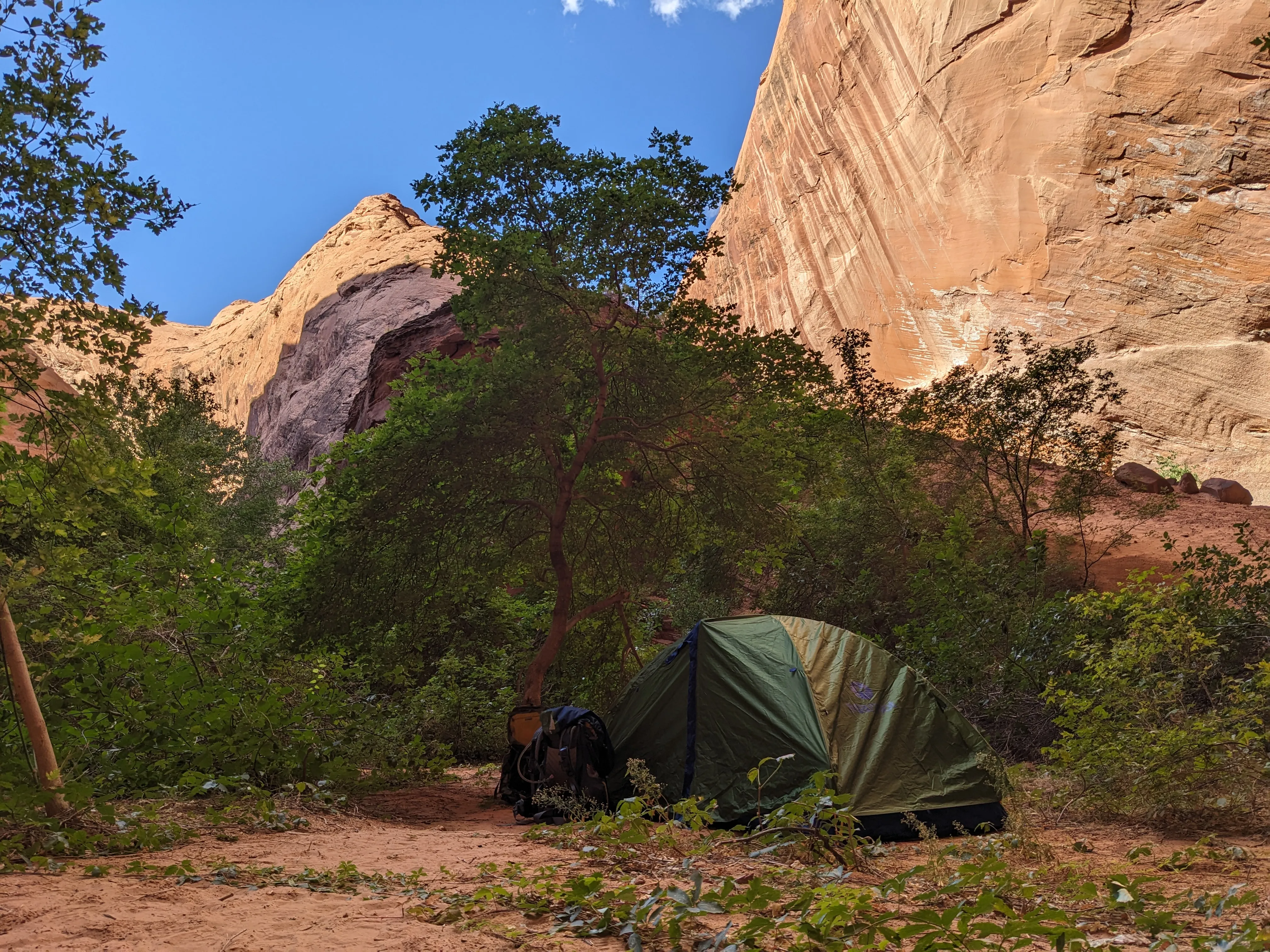 tent